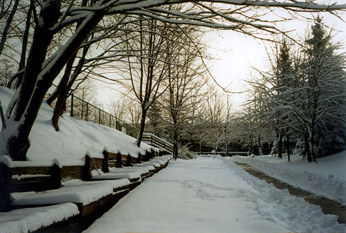 Winter at the residences