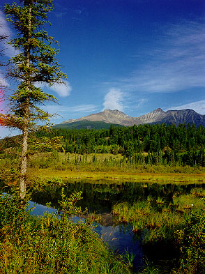 Lake Patricia Jasper National Park
