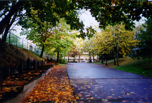 Fall at the Residences Simon Fraser University