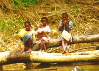 Kids in the rainforest