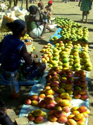 Selling mangos