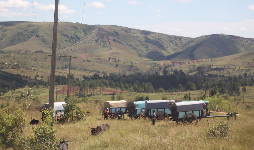 Carriages west of Tana