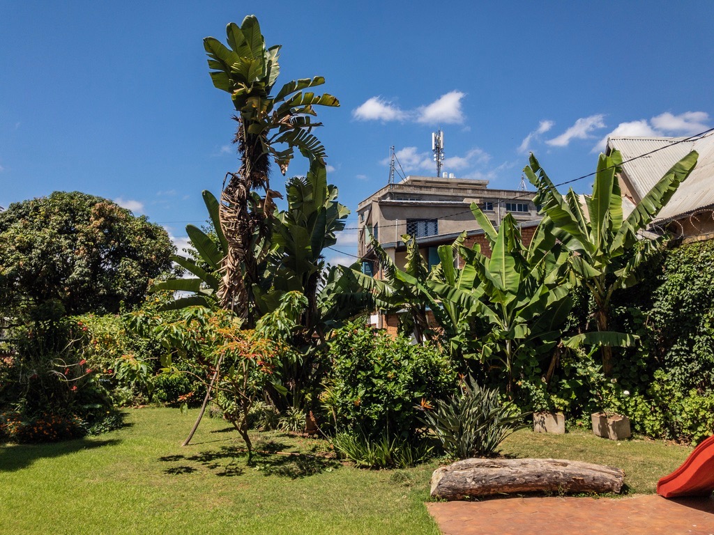 A private garden