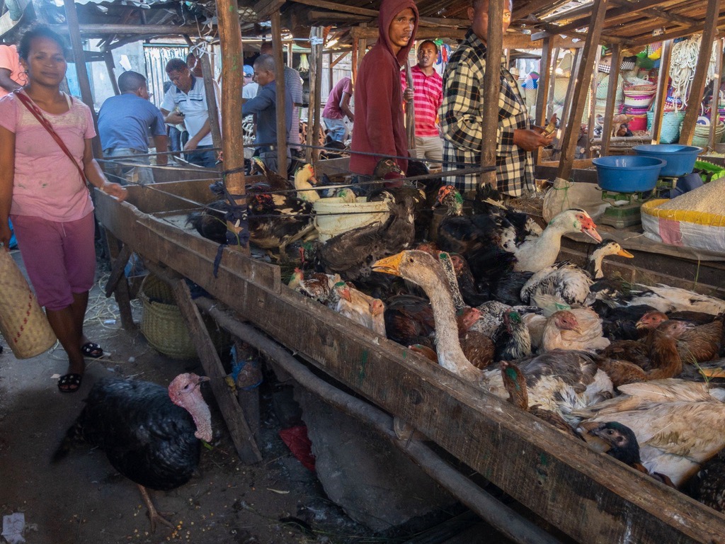 The poultry aisle