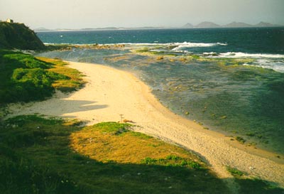 Fort Dauphin (Libanona)