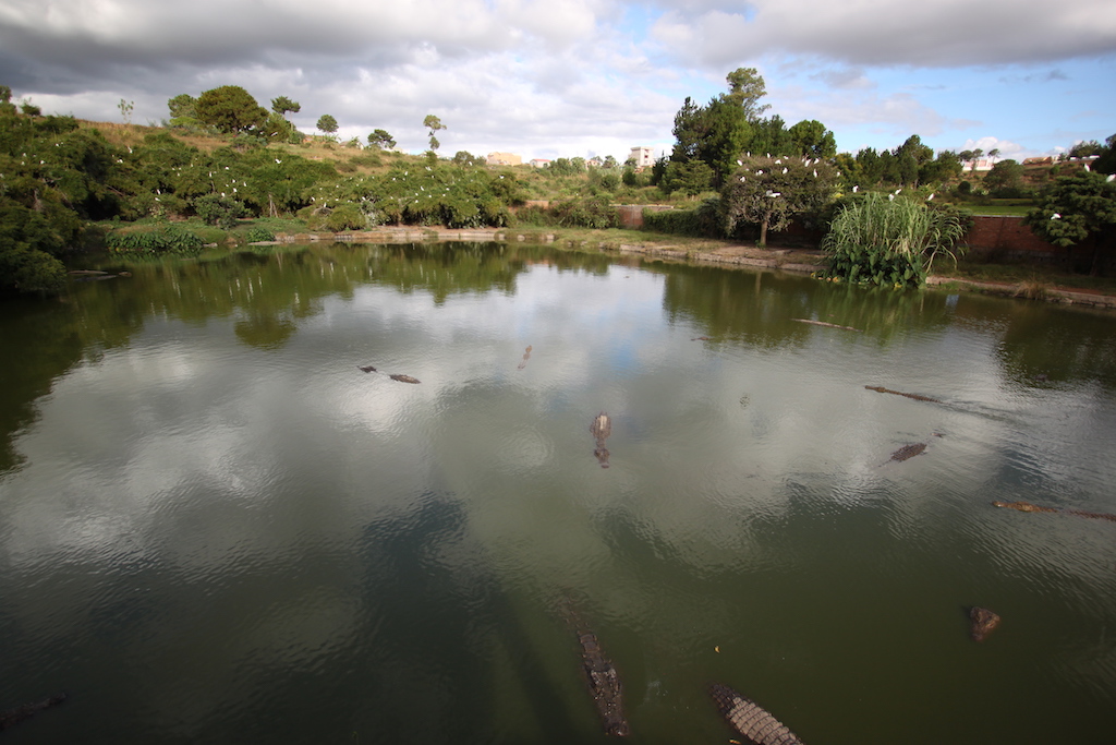 Lake at the Croc Farm