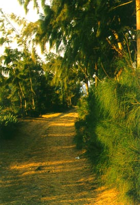 Some trail in Fort Dauphin