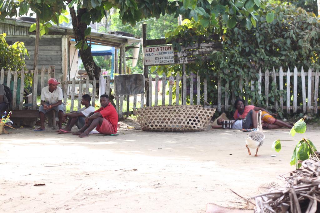 People hanging out and a goose