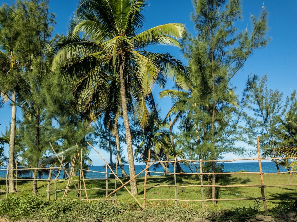 Seaside landscape