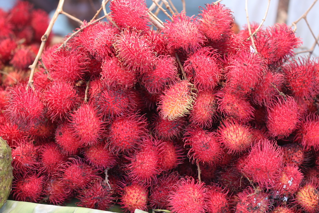 Ramboutan / Chinese lychees (sold in the Malagasy lychee off-season)