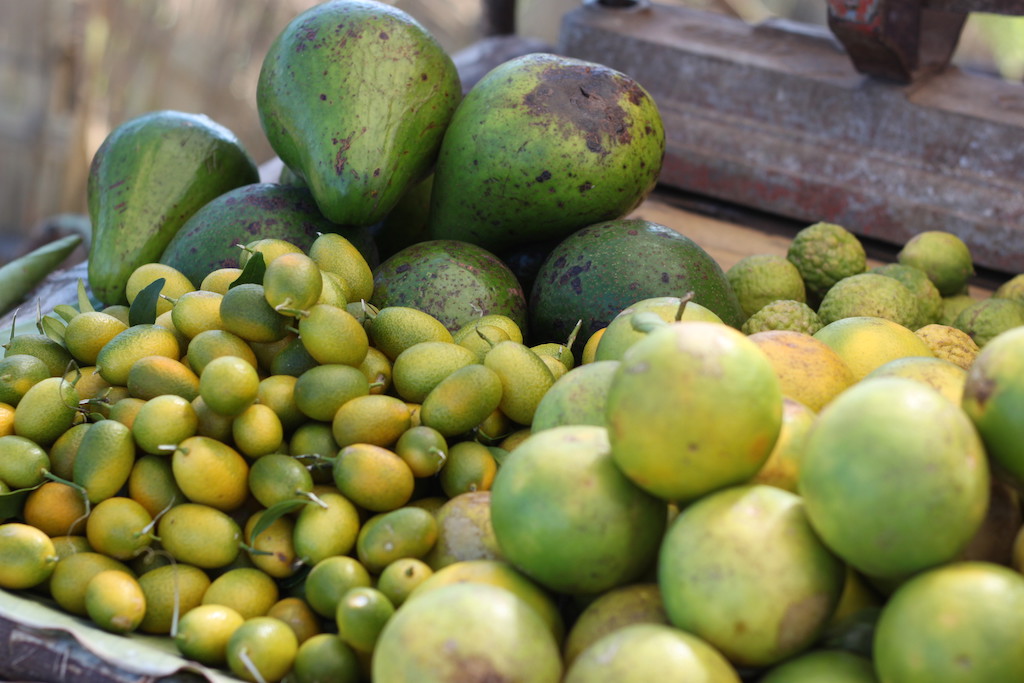 Fruit stand