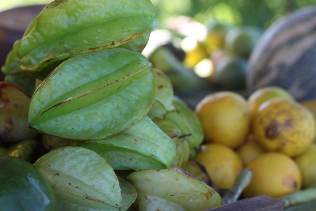 Star fruit