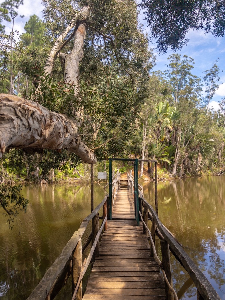 Bridge over the lake