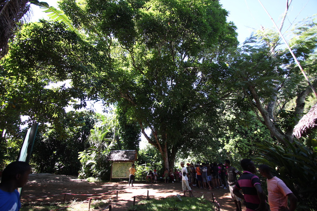 Malagasy school class visiting the park