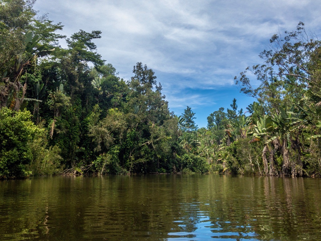 The lake and the forest