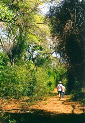 Kaleta reserve