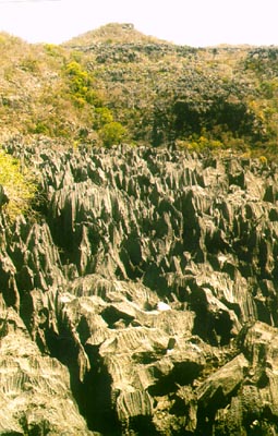 Grand Tsingy (Ankarana)