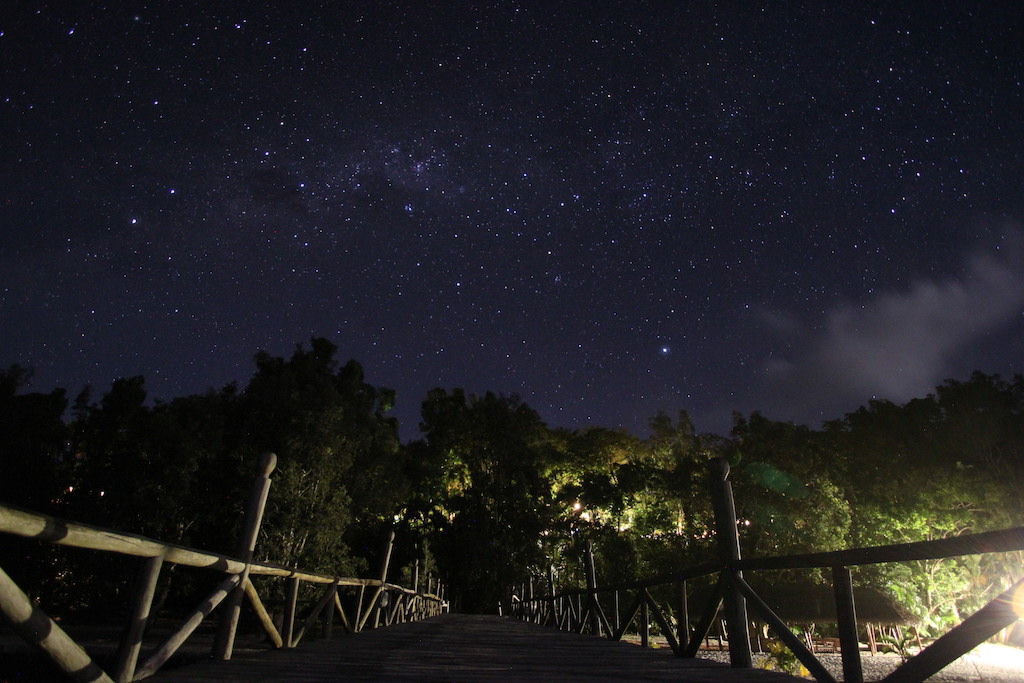Night sky at Palmarium (Akanin ny Nofy / Manambato)