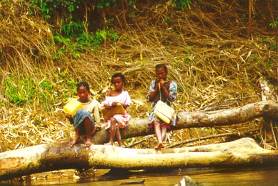 Kids in the Sambava rainforest