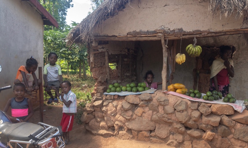 Fruit vendors (Ampefy)