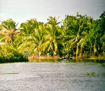 A river in Sambava