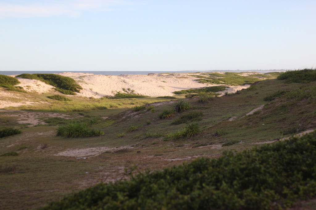 Sand dunes