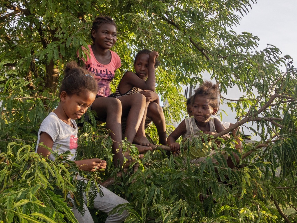 Children hanging out in a tree