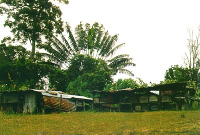 Tombs in the North (close to Sambava)