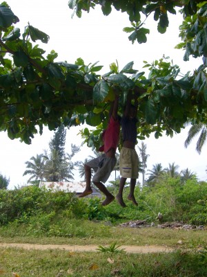 Kids dangling from tree