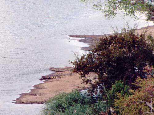 The dangerous animals (crocodiles in this case) seem to be harder to find. Luckily, we caught them on this picture from afar.