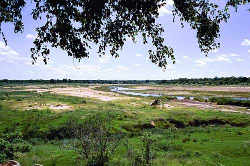 Some of the camps in the park offer a spectacular view on the vast landscape (Kruger spans two million hectares, about the size of Wales in the UK).