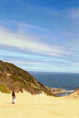 This sand bank called “The Gap” goes all the way down to the sea. Too bad we didn’t have our sandboards handy.